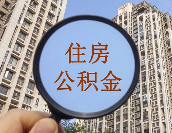 永春退休后查不到公积金明细了吗（退休后公积金查询不到原因）